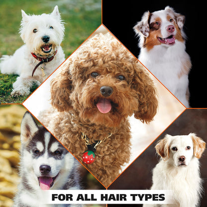 Wahl USA 4-in-1 Calming Pet Shampoo for Dogs with a Lavender Chamomile Scent – Cleans, Conditions, Detangles, & Moisturizes - Pet Friendly Formula – 64 Oz - Model 821000-050 Wahl