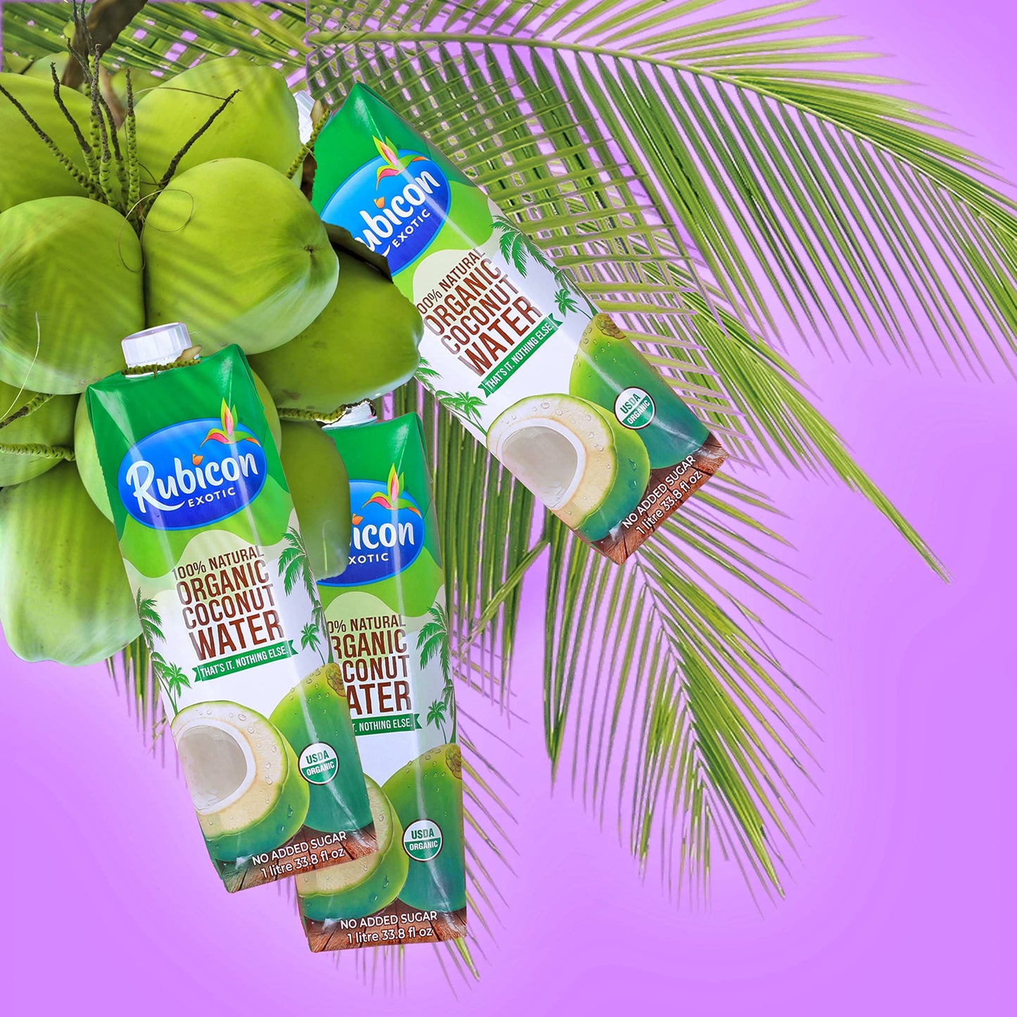 Rubicon Organic Coconut Water – 8 Pack of 1L Cartons | Natural Electrolytes, Non-GMO, No Added Sugar