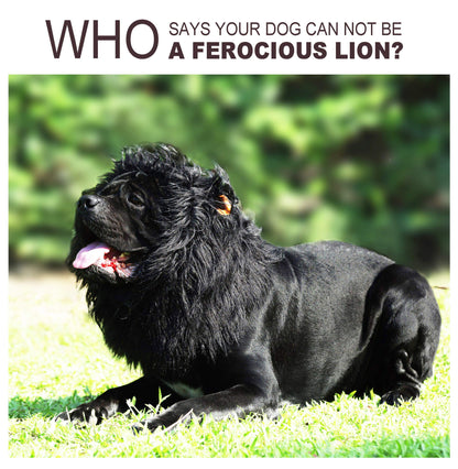 Onmygogo Lion Mane Wig for Dogs with Ears, Funny Pet Costumes for Halloween Christmas (L, Black) 🍁 All In One Marketplace Canada