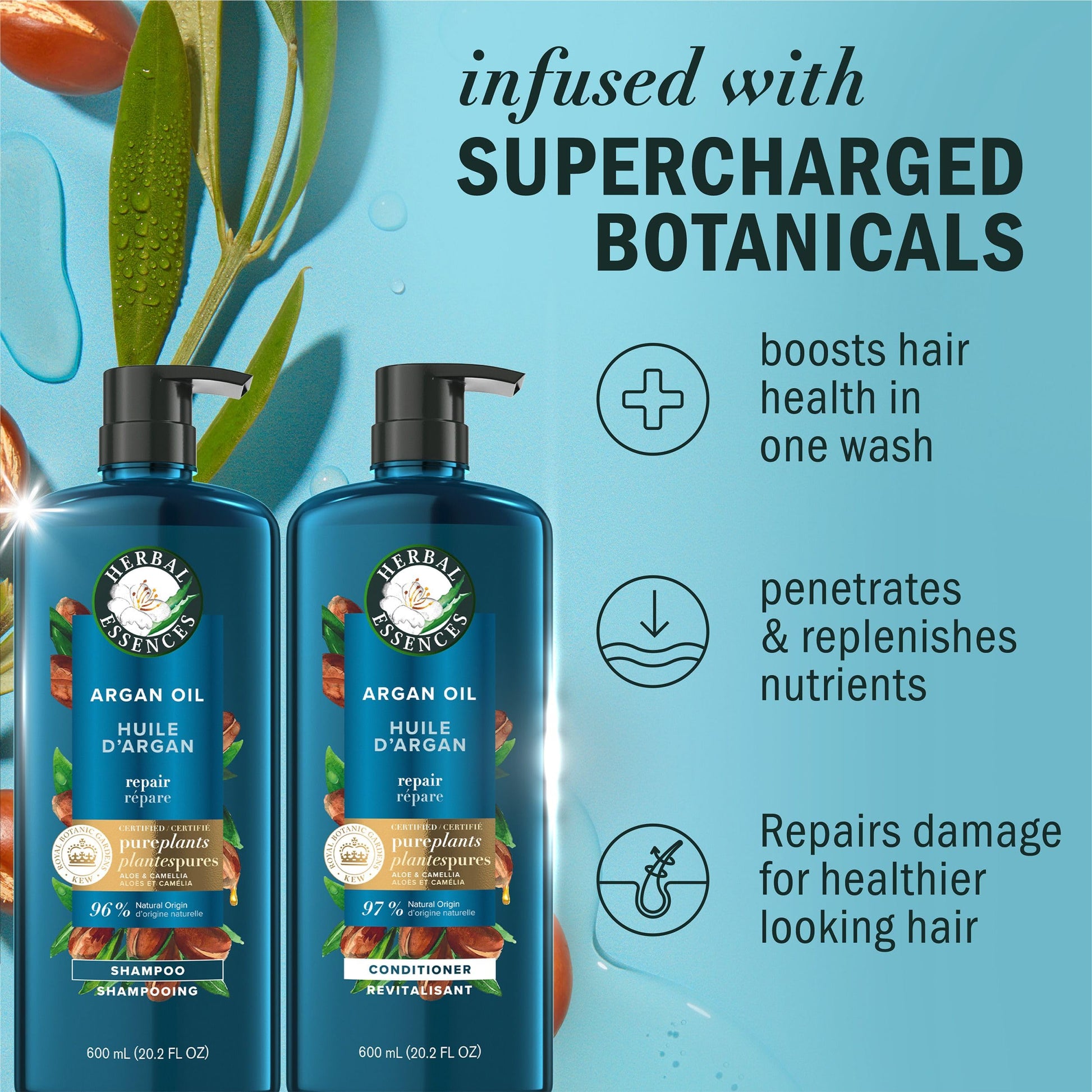 Herbal Essences, Argan Oil Paraben Free Shampoo and Conditioner, Dual Pack, Hair Repair, with Certified Camellia Oil and Aloe Vera, For All Hair Types, Especially Damaged Hair, 600 mL Each - Available at All In One Marketplace Canada