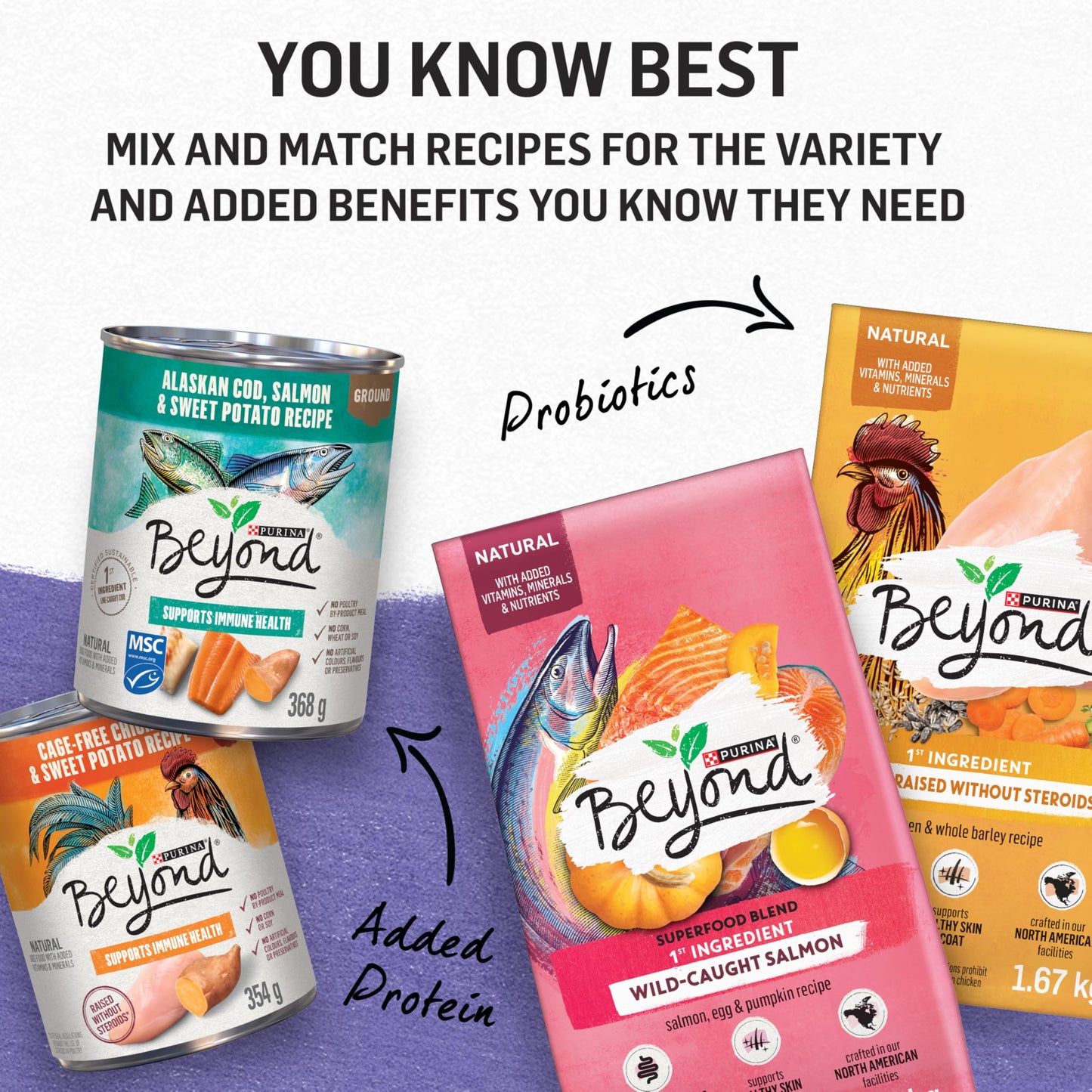Beyond Grain Free Natural Wet Dog Food, Ground Entree Variety Pack 3 Flavours - 368 g Can (6 Pack) - Available at All In One Marketplace Canada