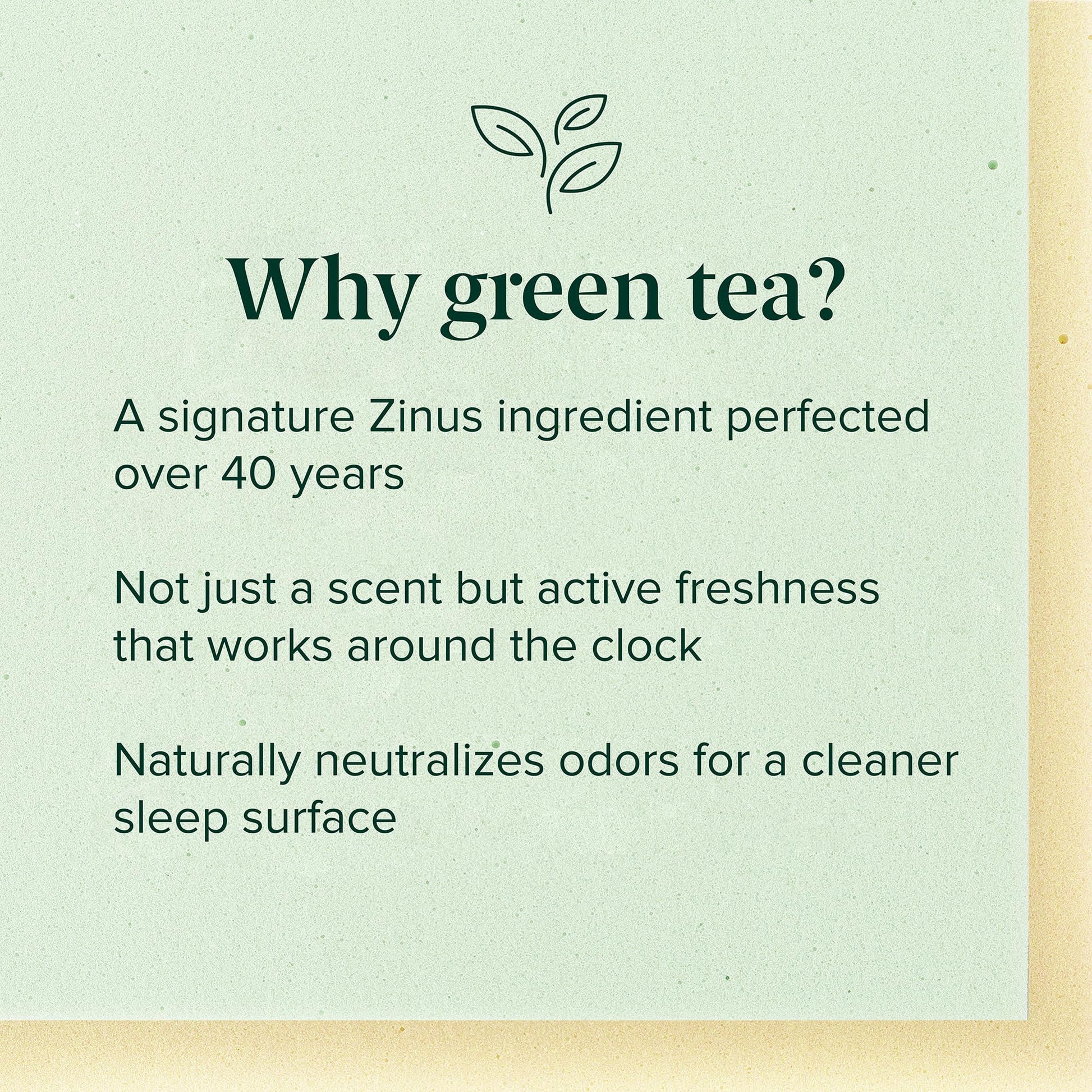 Zinus Twin Mattress - 6 Inch Green Tea Infused Memory Foam Mattress, Mattress in a Box, CertiPUR-US Certified Foam with Pressure Relief, 10-Year Warranty, Twin Size Zinus