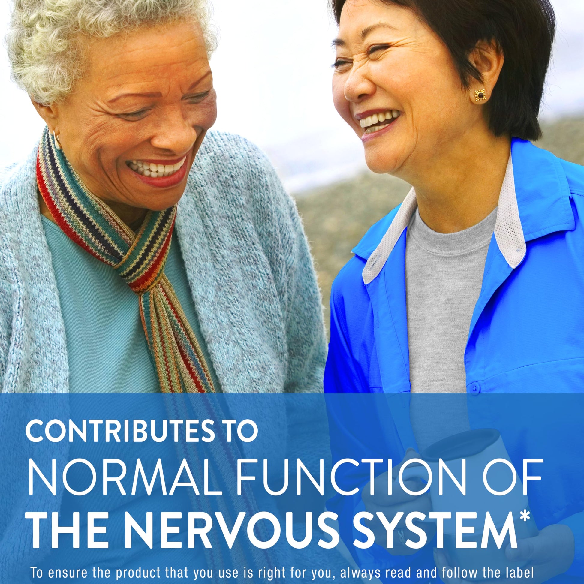 Nervive, Nerve Health, for Nervous System, Alpha Lipoic Acid, ALA, Vitamins B1-Thiamine, B6, B12, 30-Day Supply, 30 Count 🍁 All In One Marketplace Canada Nervive