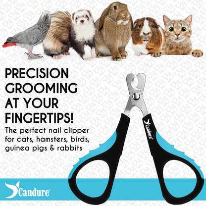 Candure Cat Nail Clippers for Indoor Cats, Rabbits, Hamsters, and Birds with Precise Angled Edges to Ensure Easy & Safe Trimming Stainless Steel Cat & Dog Nail Trimmer for At-Home Cat Grooming