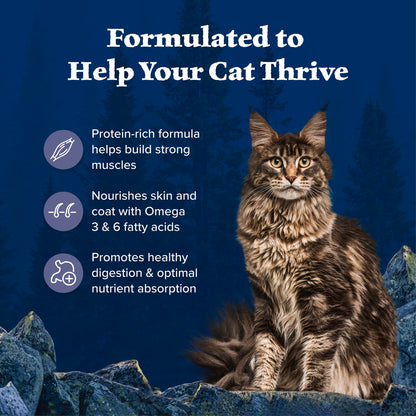 Blue Buffalo Wilderness with Chicken Natural High-Protein Grain-Free Dry Food for Adult Cats, Real Chicken First, Antioxidant-Rich LifeSource Bits Support Immunity, Promotes Strong Muscles, 6 lbs.