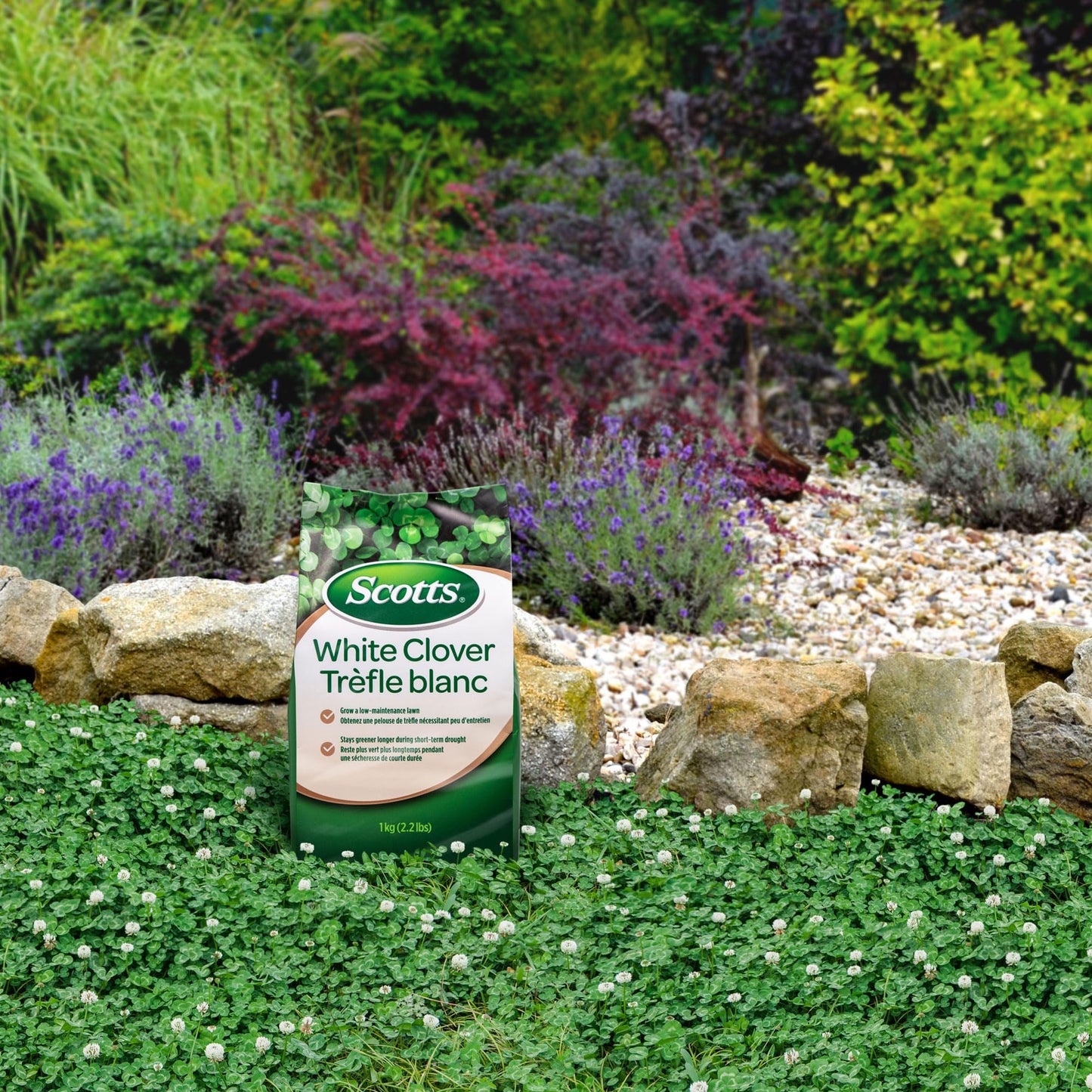 Scotts White Clover Lawn Seed, 1kg (Covers 1,100 Sq. Ft.) – Low-Maintenance, Self-Fertilizing, Drought-Tolerant Grass Seed Alternative for Eco-Friendly Lawns