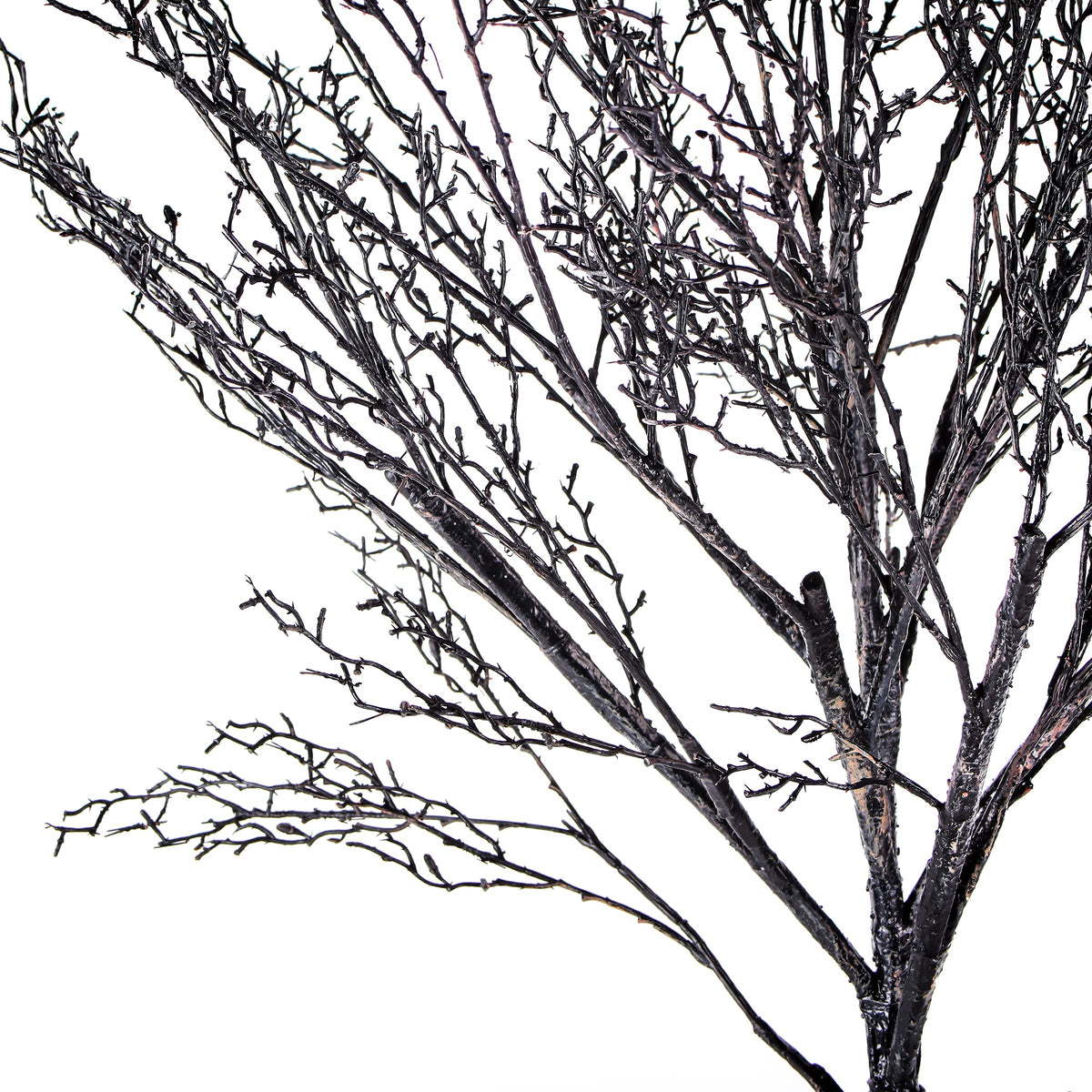 Décoration d'arbre artificiel National Tree Company, noir, sans feuilles, inclut un support, collection Halloween, 173 cm (68 pouces)