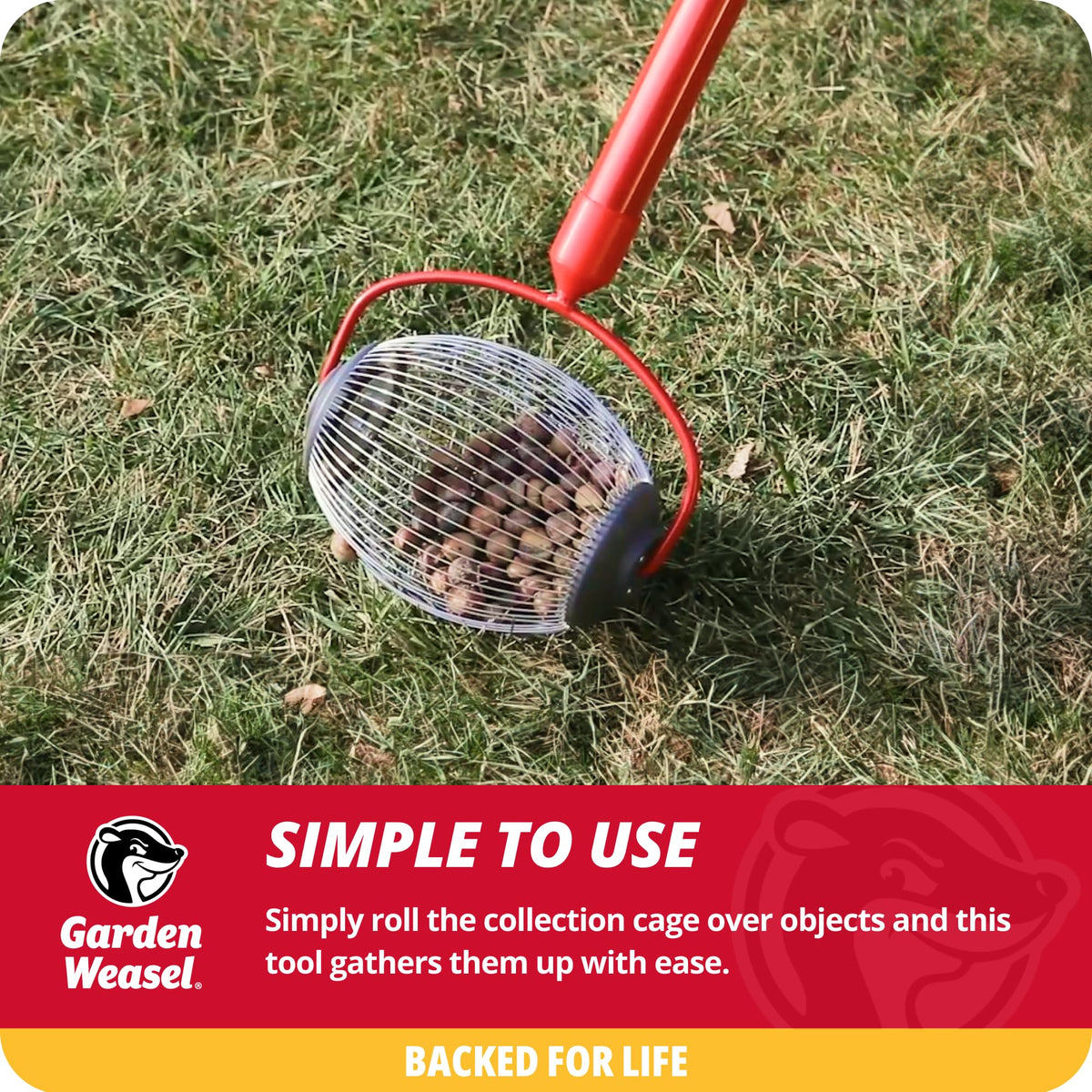 Garden Weasel Nut Gatherer - Small Cage | Pick Up Small Acorns, Buckeyes, Beech Nuts | Nut Collector and Picker Upper Roller | 95334