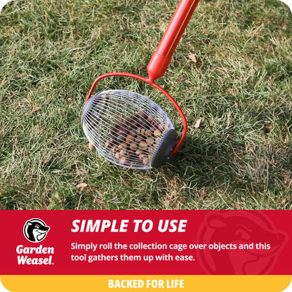 Garden Weasel Nut Gatherer - Small Cage | Pick Up Small Acorns, Buckeyes, Beech Nuts | Nut Collector and Picker Upper Roller | 95334