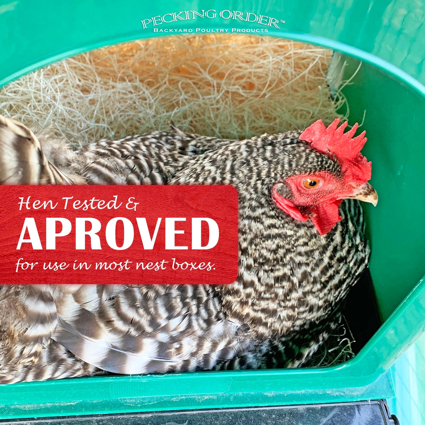Nest Box Pads for Chicken Nesting Boxes - 13 x 13 Pads Made in USA from Sustainably Sourced Aspen Excelsior (5 Pack) 🍁 All In One Marketplace Canada Pecking Order