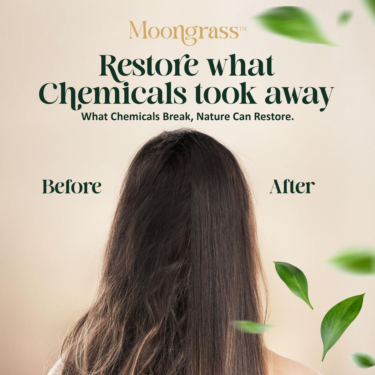 Moongrass Tea Tree Shampoo with Peppermint Oil, Plant-Based, Made in Canada 🍁 All In One Marketplace Canada