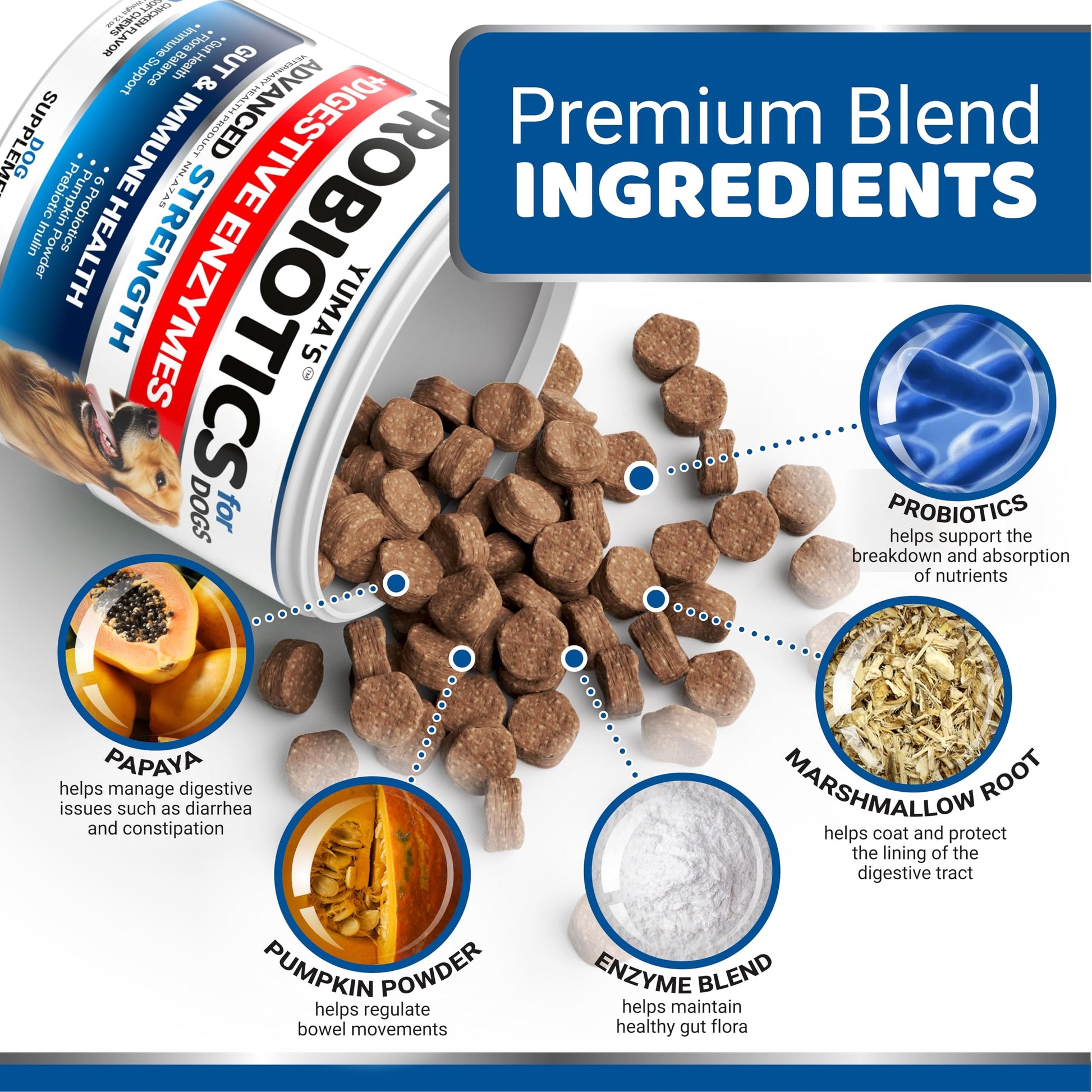 Probiotics for Dogs - 170 Chews - Helps Relieve Diarrhea, Gas & Allergies, Constipation - Dog Probiotics - Digestive & Immune Support - Prebiotics & Digestive Enzymes - Gut Health Chewable Supplement