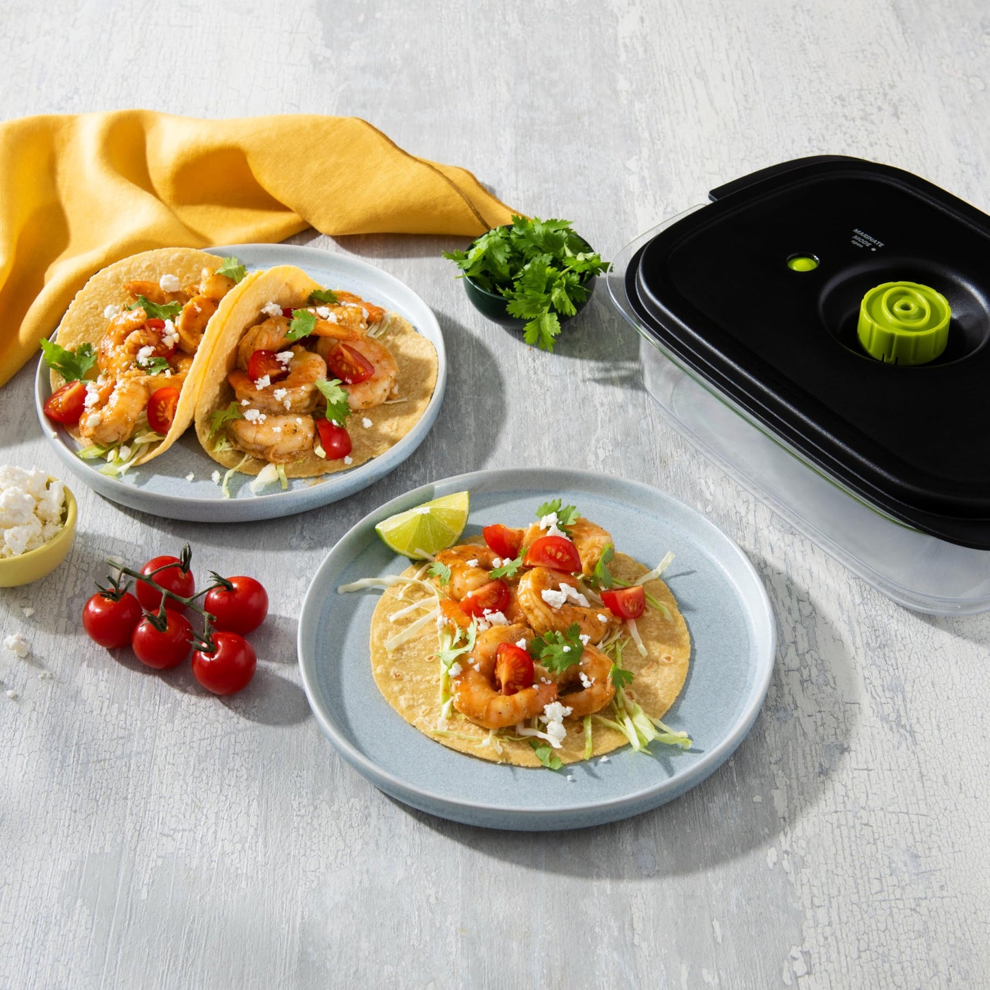 Foodsaver Marinade Containers (3cup & 10 cup) FOODSAVER