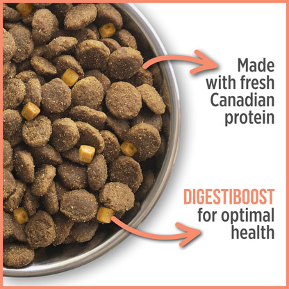 Nutrience Care Sensitive Skin & Stomach Hypoallergenic Adult Dog Food, 10 kg (22 lb), Salmon & Pumpkin, Grain & Gluten Free, Fresh Canadian Protein, Dry Dog Food, Nourriture Pour Chien - Available at All In One Marketplace Canada