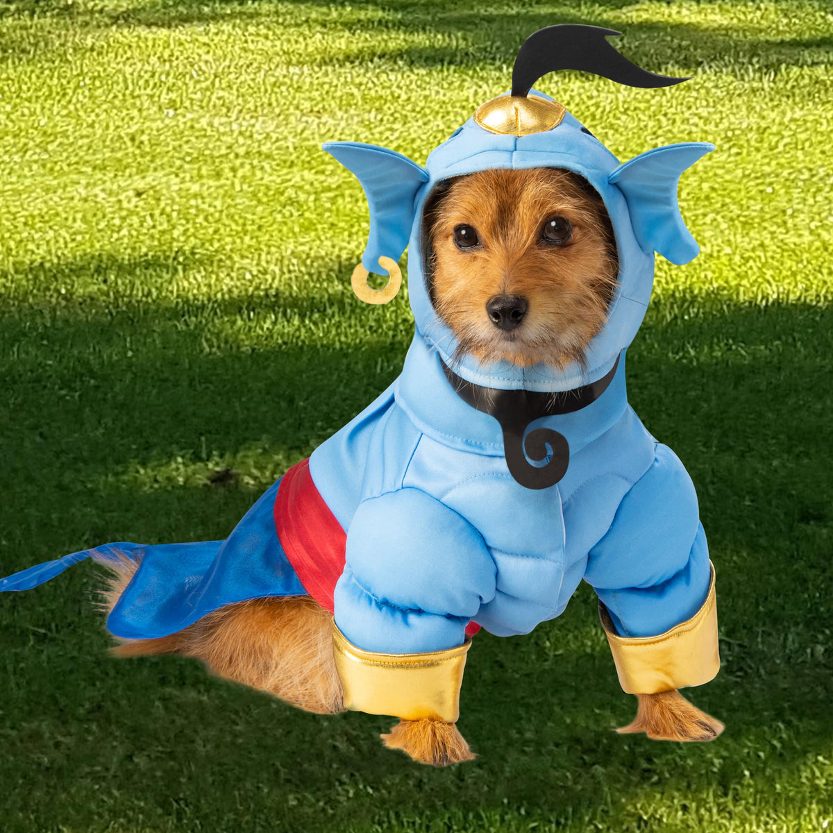 Costume pour animal de compagnie Rubies Disney Aladdin, Génie, très grand pour soirées à thème et Halloween