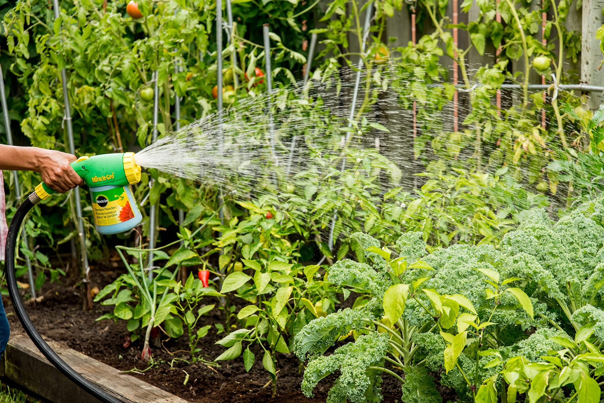 Miracle-Gro Garden Feeder Hose Attachment | Plant Food Sprayer | Easy One-Handed Hose End Fertilizer Dispenser for Outdoor Plants