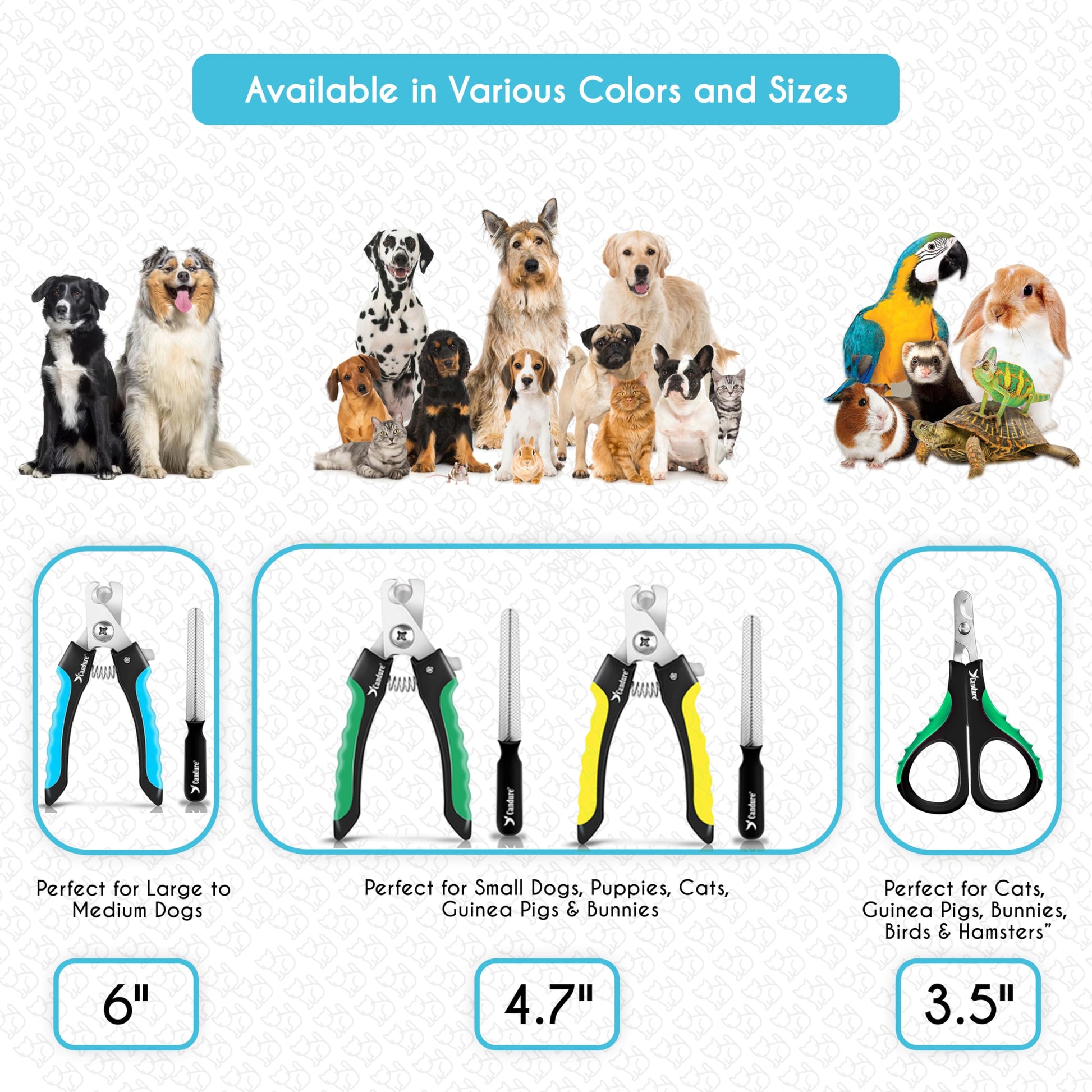 Candure Cat Nail Clippers for Indoor Cats, Rabbits, Hamsters, and Birds with Precise Angled Edges to Ensure Easy & Safe Trimming Stainless Steel Cat & Dog Nail Trimmer for At-Home Cat Grooming