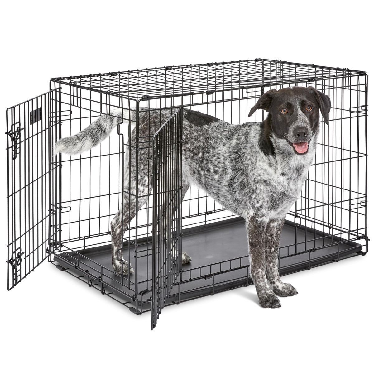 MidWest Homes for Pets 36-Inch iCrate for Medium-Large Breeds, 41-70 lbs, Double Door Folding Dog Crate with Divider Panel, Leak-Proof Tray & Secure Latches, Portable, Durable & Easy to Assemble
