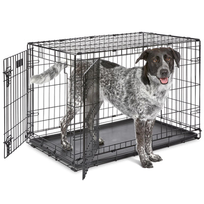 MidWest Homes for Pets 36-Inch iCrate for Medium-Large Breeds, 41-70 lbs, Double Door Folding Dog Crate with Divider Panel, Leak-Proof Tray & Secure Latches, Portable, Durable & Easy to Assemble