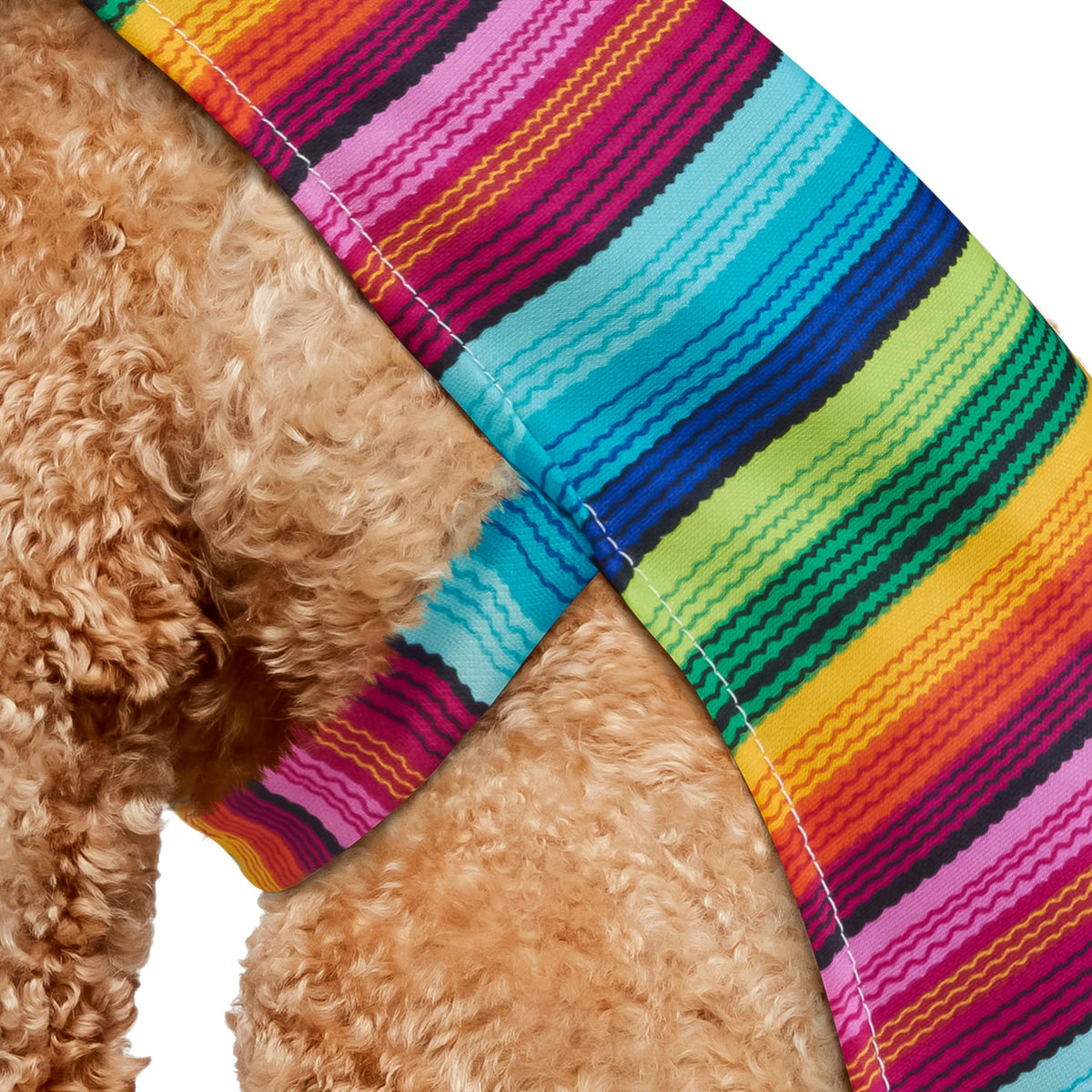 Rubies Costume Co Halloween Classics Collection Pet Costume, Medium, Mexican Serape