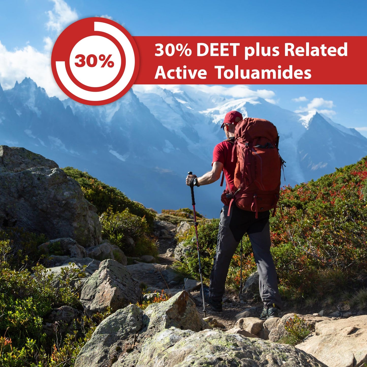 Great Outdoors Insect Repellent 30% DEET Aerosol Spray, 175g - Available at All In One Marketplace Canada
