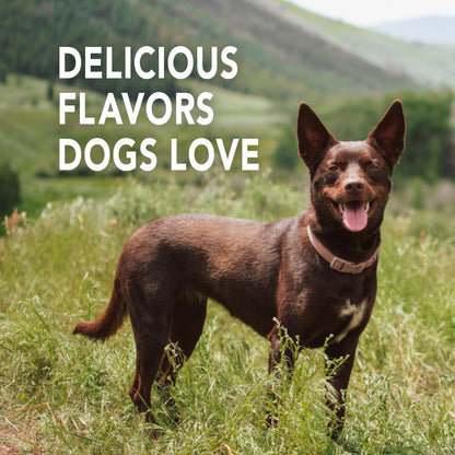 Petrodex Enzymatic Toothpaste for Dogs, Pet Dental Care, Poultry Flavor, 6.2 oz 🍁 All In One Marketplace Canada