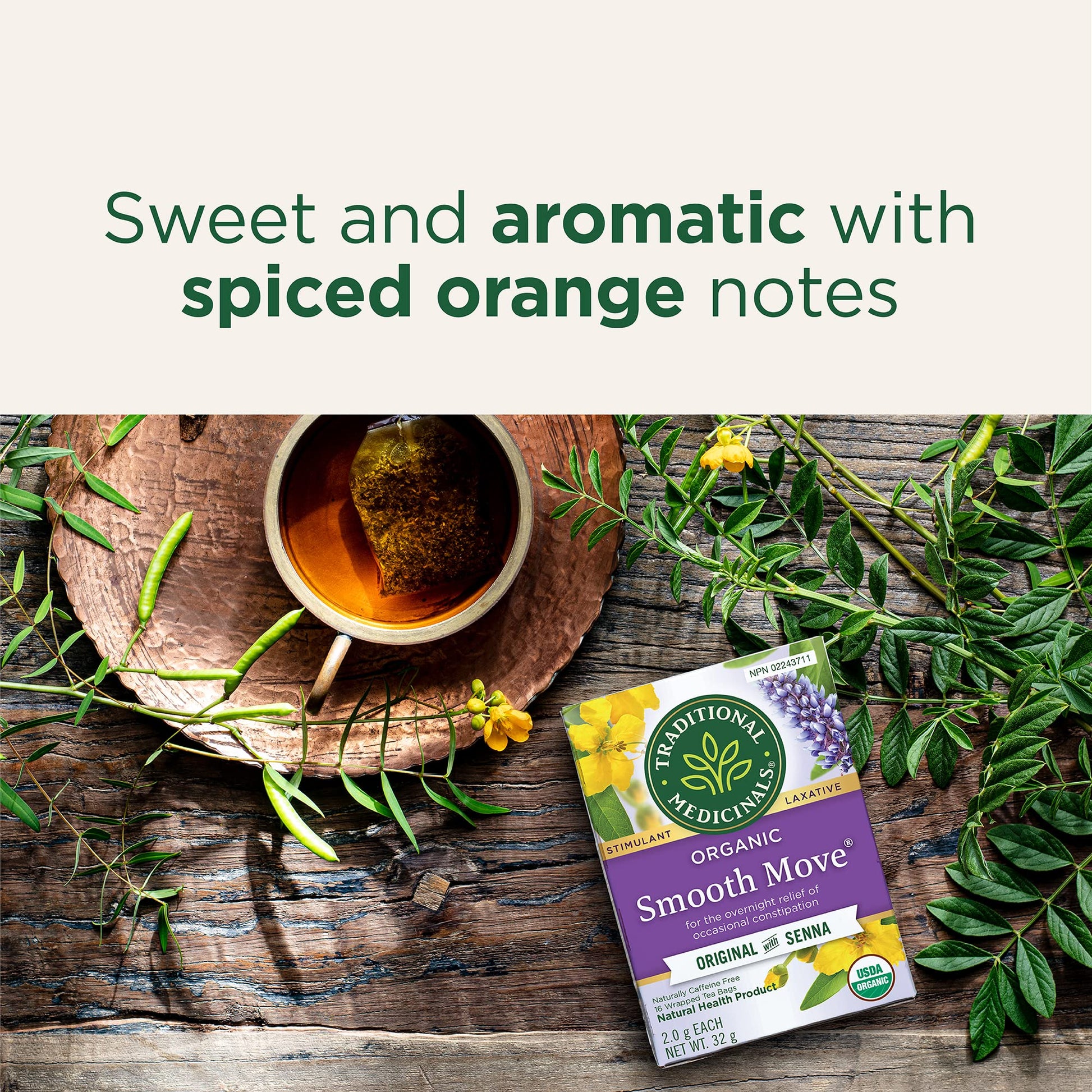 Traditional Medicinals Organic Smooth Move Herbal Tea - 6 Pack (96 Tea Bags) - Gentle Overnight Constipation Relief