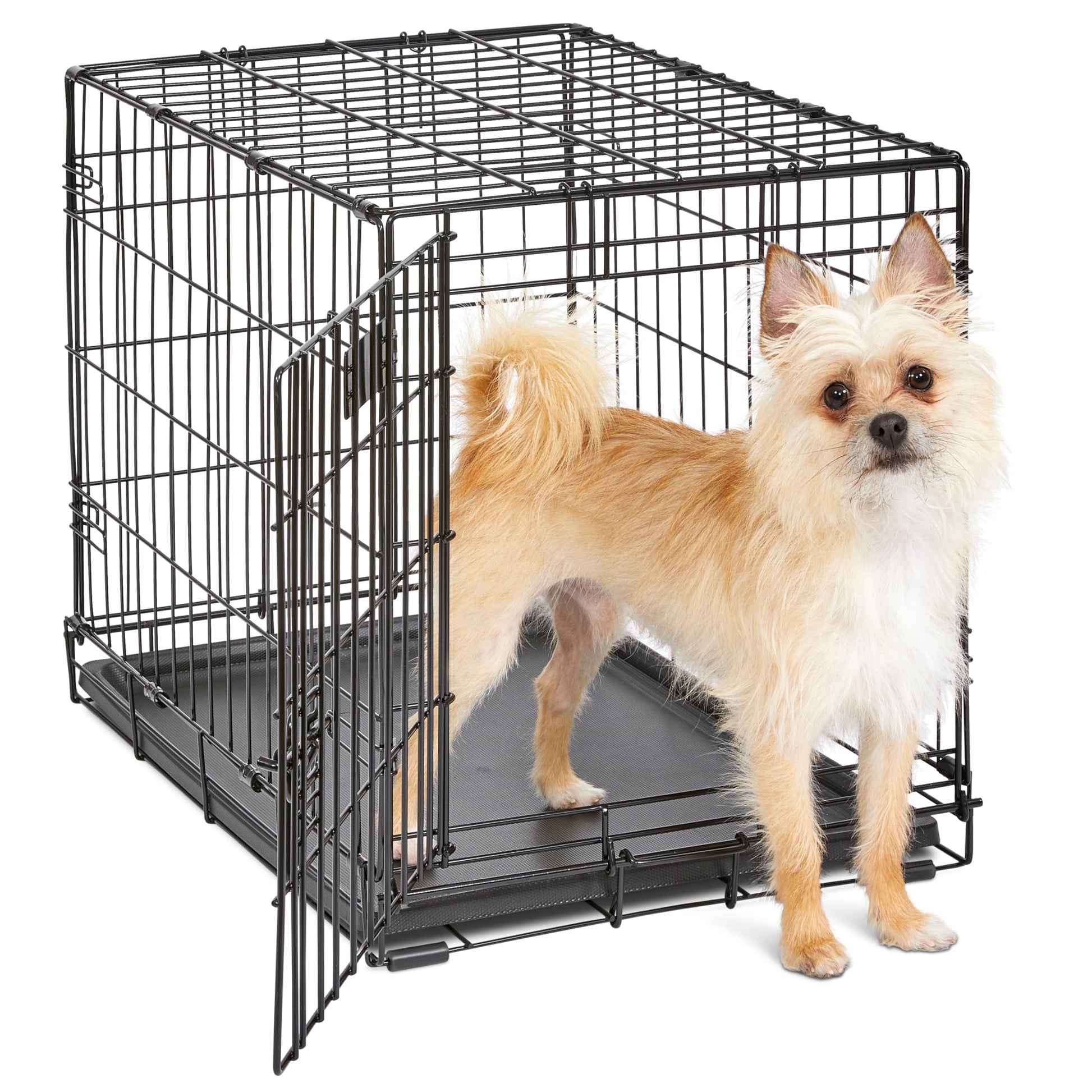 MidWest Homes for Pets 24-Inch iCrate for Small Breeds, 12-20 lbs, Single Door Folding Dog Crate with Divider Panel, Leak-Proof Tray & Secure Latch, Portable, Durable & Easy to Assemble MidWest Homes for Pets