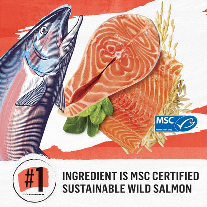 Beyond Simply Natural Dry Cat Food, Salmon & Whole Brown Rice - 2.72 kg Bag - Available at All In One Marketplace Canada