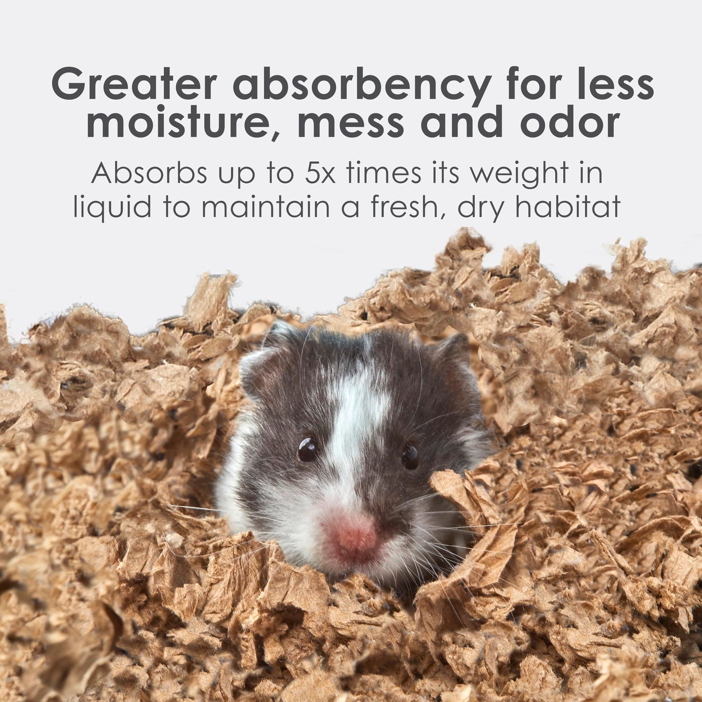 Kaytee Clean & Cozy Natural Small Animal Bedding, Expands to 49.2L 🍁 All In One Marketplace Canada