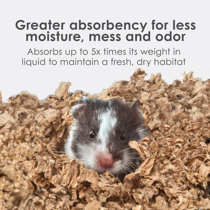 Kaytee Clean & Cozy Natural Small Animal Bedding, Expands to 49.2L 🍁 All In One Marketplace Canada