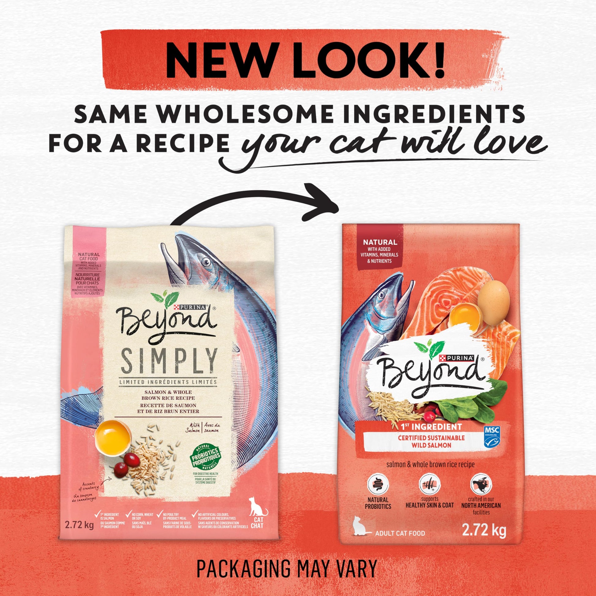 Beyond Simply Natural Dry Cat Food, Salmon & Whole Brown Rice - 2.72 kg Bag - Available at All In One Marketplace Canada