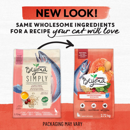 Beyond Simply Natural Dry Cat Food, Salmon & Whole Brown Rice - 2.72 kg Bag - Available at All In One Marketplace Canada