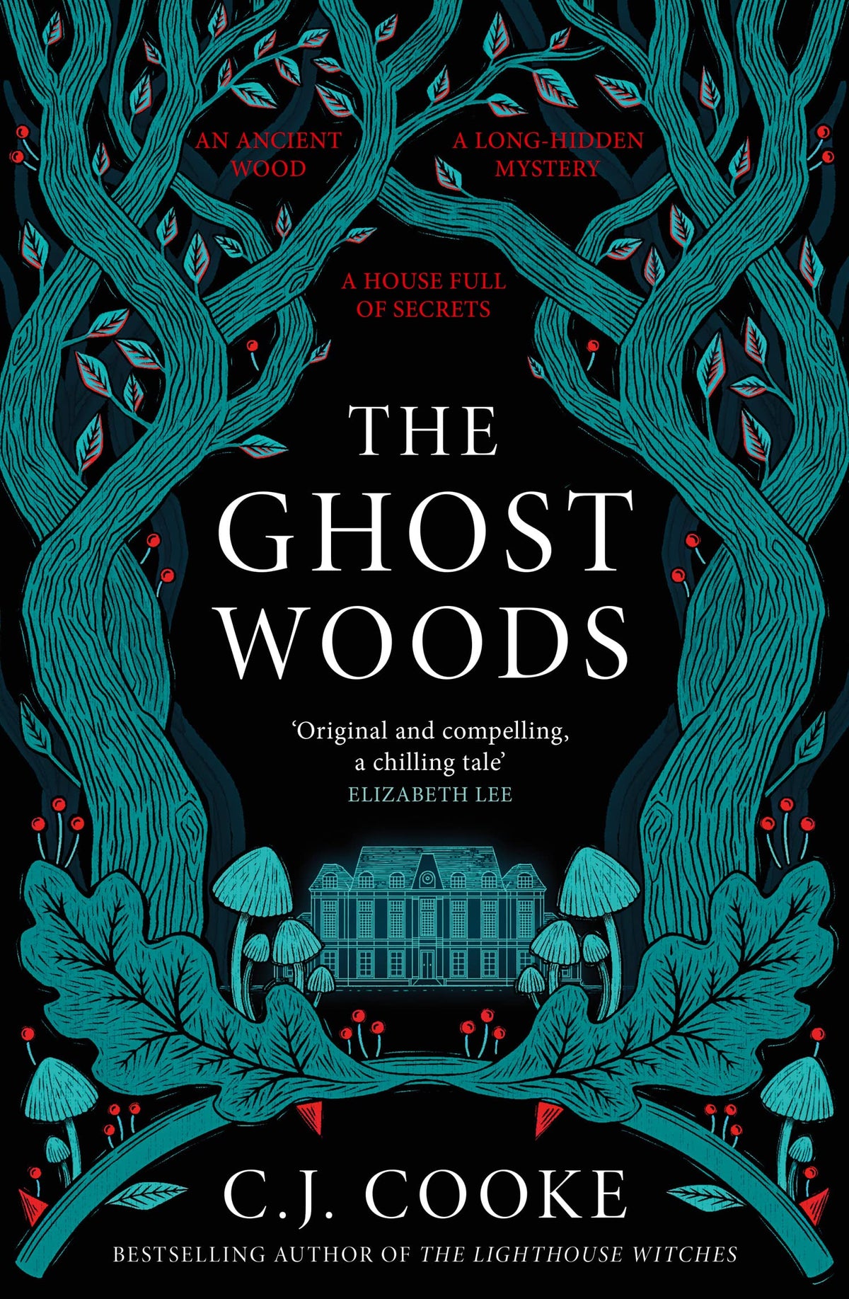 The Ghost Woods: A chillingly haunting psychological thriller – the perfect Halloween read!