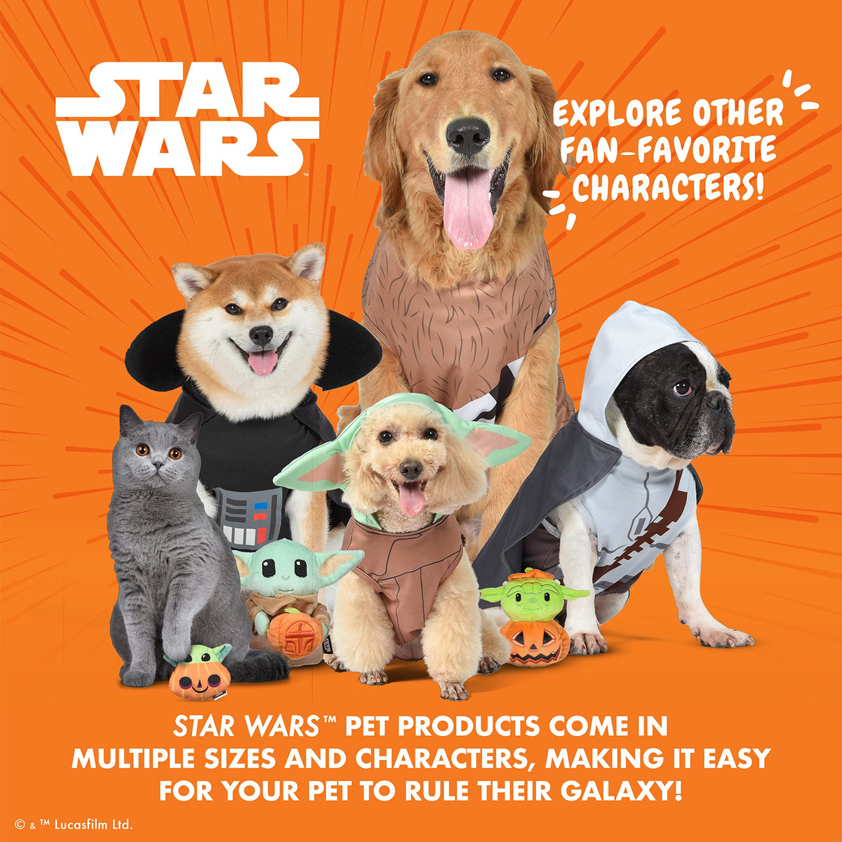 Costume pour chien The Mandalorian Star Wars pour animaux de compagnie, taille moyenne