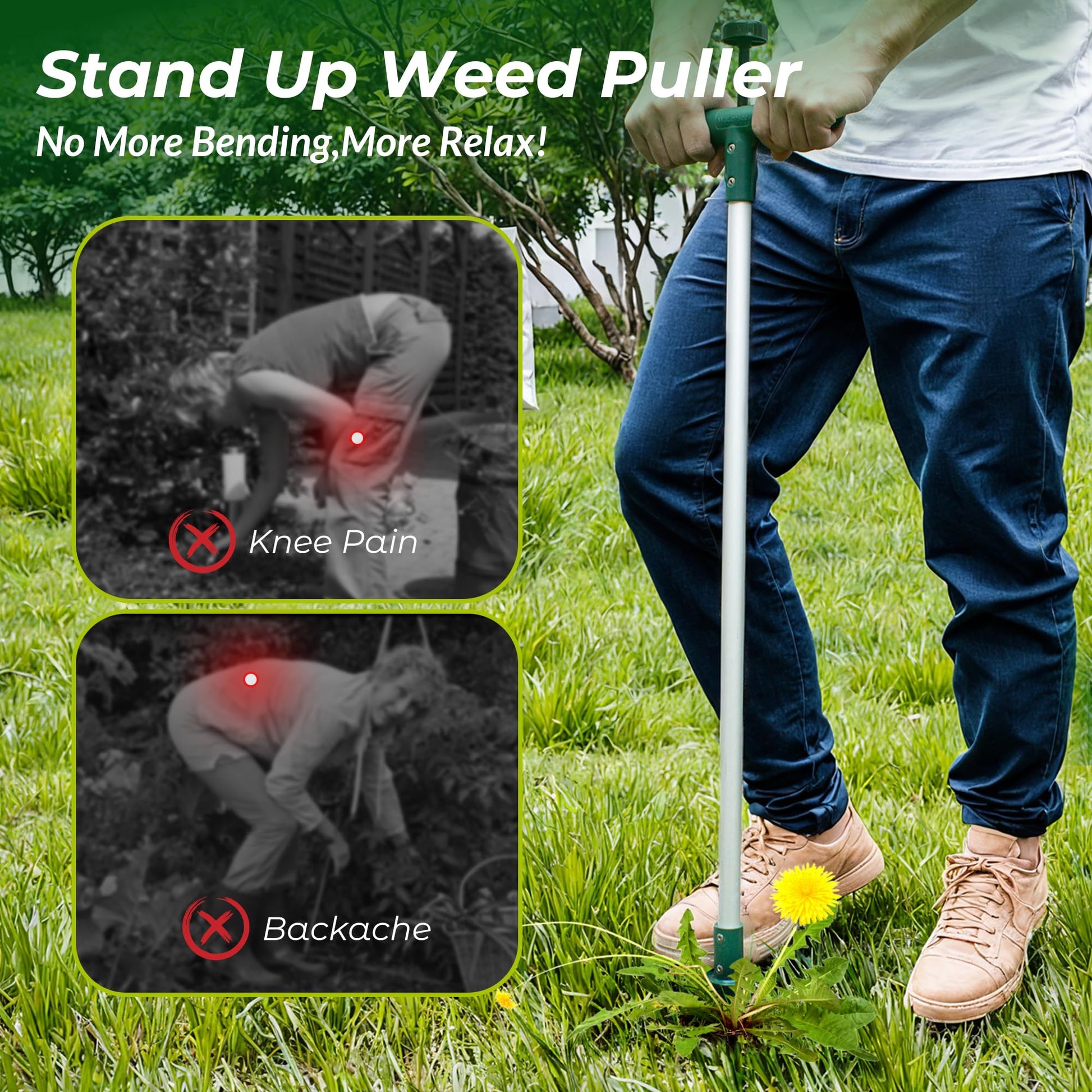 Walensee Weed Puller, Stand Up Weeder Hand Tool, Long Handle Garden Weeding Tool with 3 Claws, Hand Weed Hound Weed Puller for Dandelion, Standup Weed Root Pulling Tool and Picker, Grabber (1 Pack) - Available at All In One Marketplace Canada