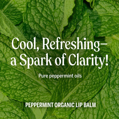 Dr. Bronner's - Organic Lip Balm (Peppermint, 4g, 6-Pack) - Made with Organic Beeswax and Avocado Oil, For Dry Lips, Hands, Chin or Cheeks, Jojoba Oil for Added Moisture, Cooling and Hydrating 🍁 All In One Marketplace Canada