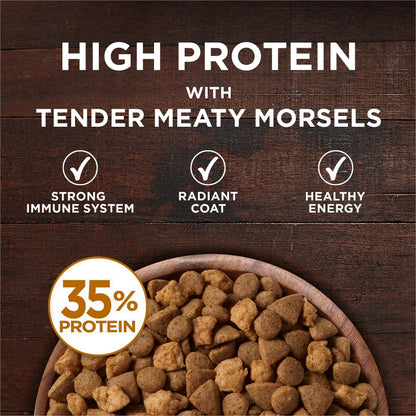 Purina ONE True Instinct Grain Free Dry Cat Food, High Protein Chicken - 6.53 kg Bag