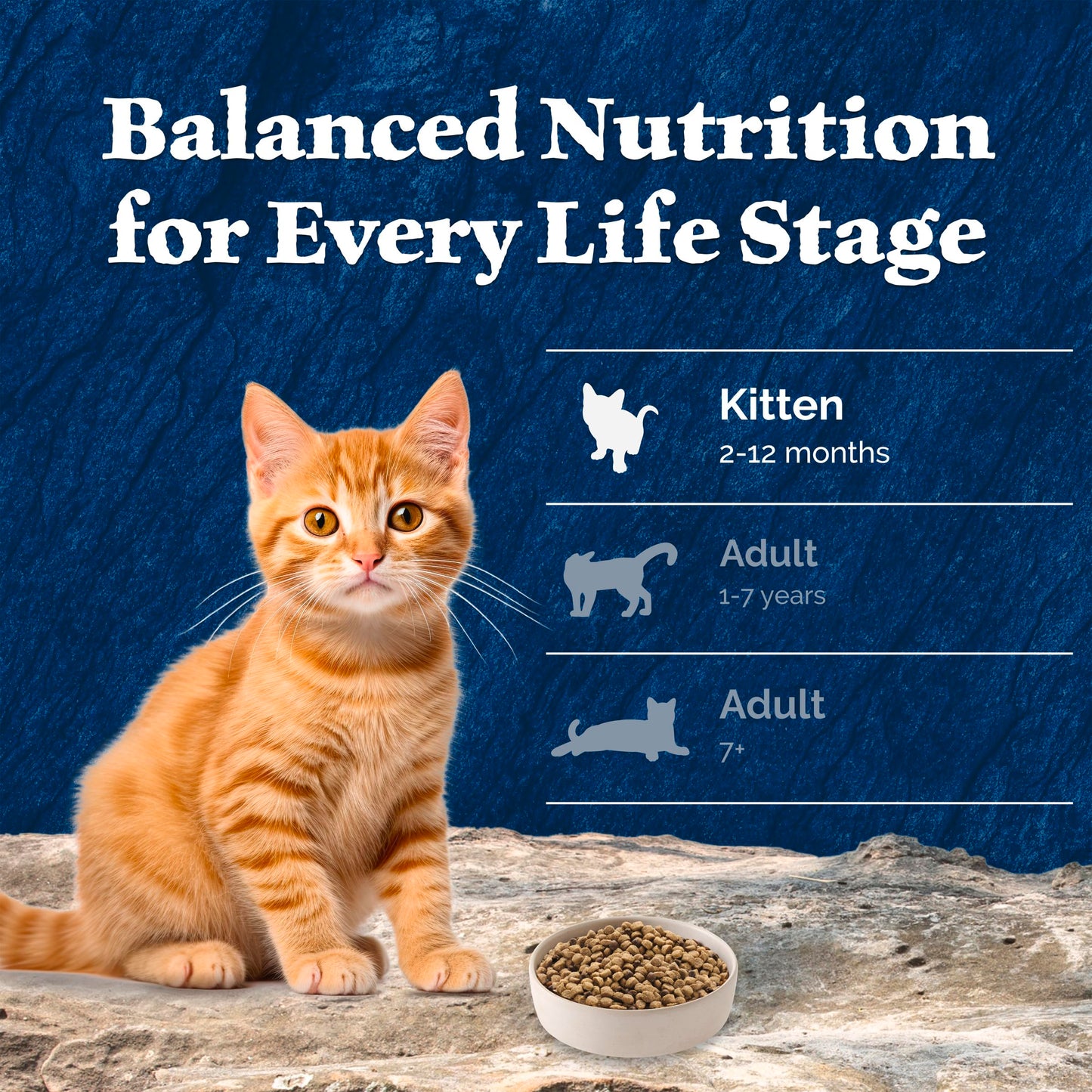 Blue Buffalo Wilderness with Chicken Natural High-Protein Grain-Free Dry Kitten Food, Real Chicken First, Antioxidant-Rich LifeSource Bits Support Immunity, DHA & ARA for Development, 2.2kg/5 lbs.