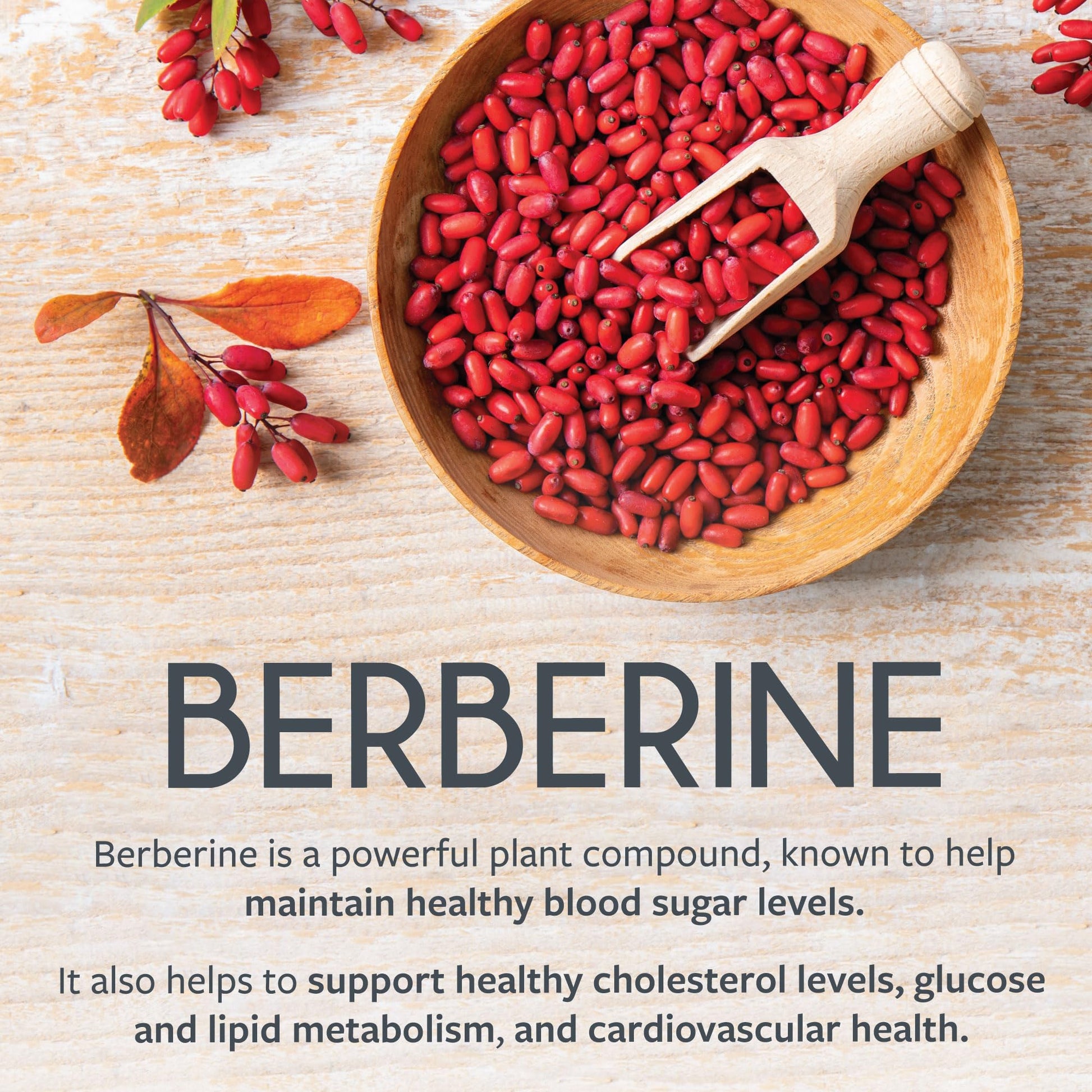 Berberine 1000mg | Healthy Cholesterol, Glucose & Lipid Metabolism & Cardiovascular Health Support | High Potency Berberine Supplement with Bitter Melon & Banaba Extract | Made in Canada | 90 Ct - Available at All In One Marketplace Canada