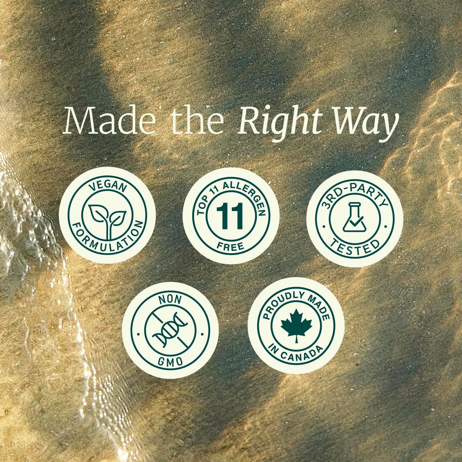 L Theanine, Magnesium Glycinate + Ashwagandha Supplement | Relaxation, Sleep & Memory Support | Stress Relief, Calm, Mood & Sleep Supplements | Made in Canada & Non-GMO | 120 Ct - Available at All In One Marketplace Canada
