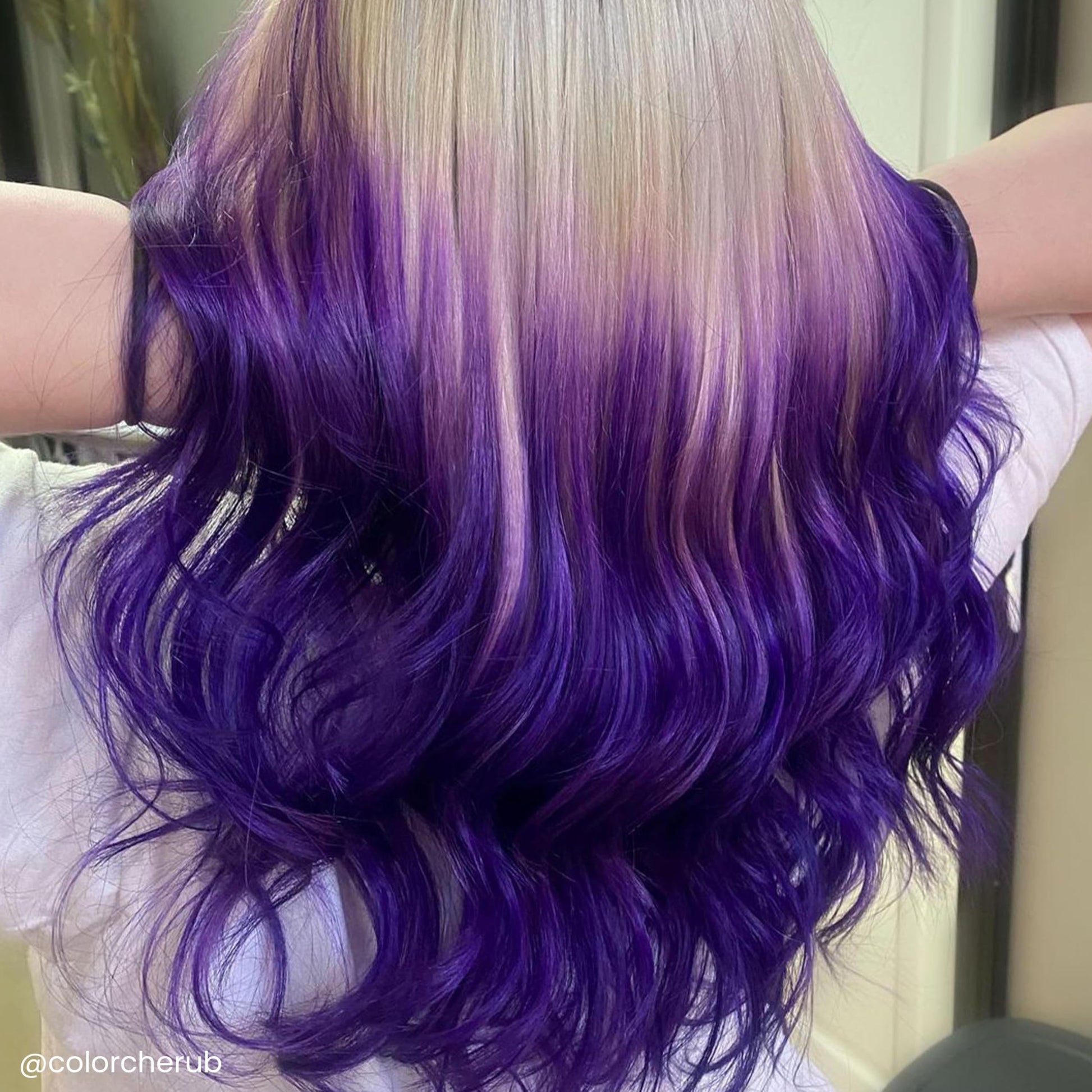 ARCTIC FOX CRUELTY FREE 100% VEGAN SEMI PERMANENT HAIR COLOUR DYE (236 ml, PURPLE AF)