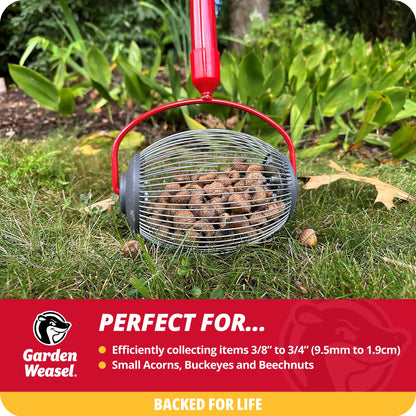 Garden Weasel Nut Gatherer - Small Cage | Pick Up Small Acorns, Buckeyes, Beech Nuts | Nut Collector and Picker Upper Roller | 95334