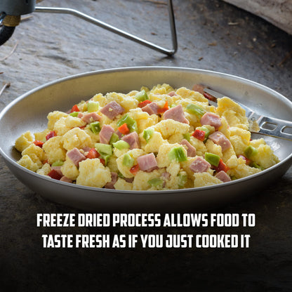 Mountain House Pad Thai with Chicken, Freeze Dried Emergency Food (1 Pouch) Mountain House