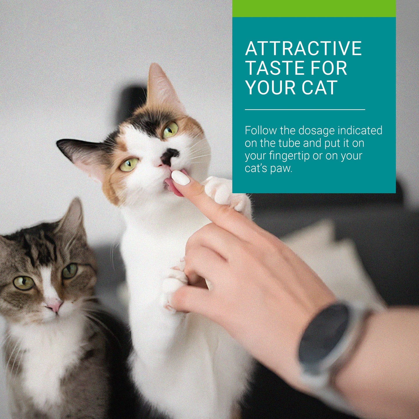 Vetoquinol Hairball-EZ – Veterinary Health Product – Helps Minimize Hairballs in Cats (Tuna) - Available at All In One Marketplace Canada