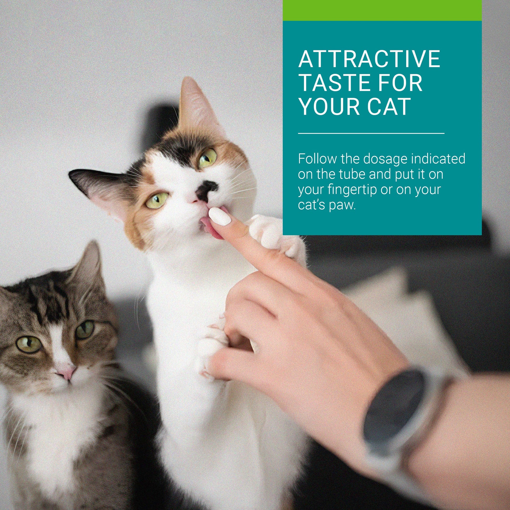 Vetoquinol Hairball-EZ – Veterinary Health Product – Helps Minimize Hairballs in Cats (Tuna) - Available at All In One Marketplace Canada