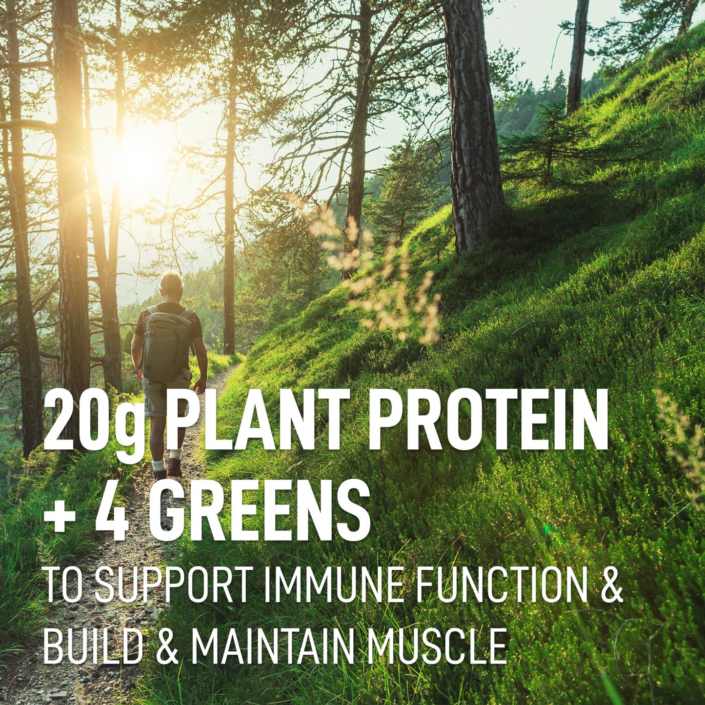 LEANFIT PLANT-BASED PROTEIN & GREENS Natural Vanilla – 20g Plant Protein + 4 Leafy Greens Per Serving – Vegan, Gluten-Free, Soy-Free, No Sugar - 20 Servings, 517g Tub