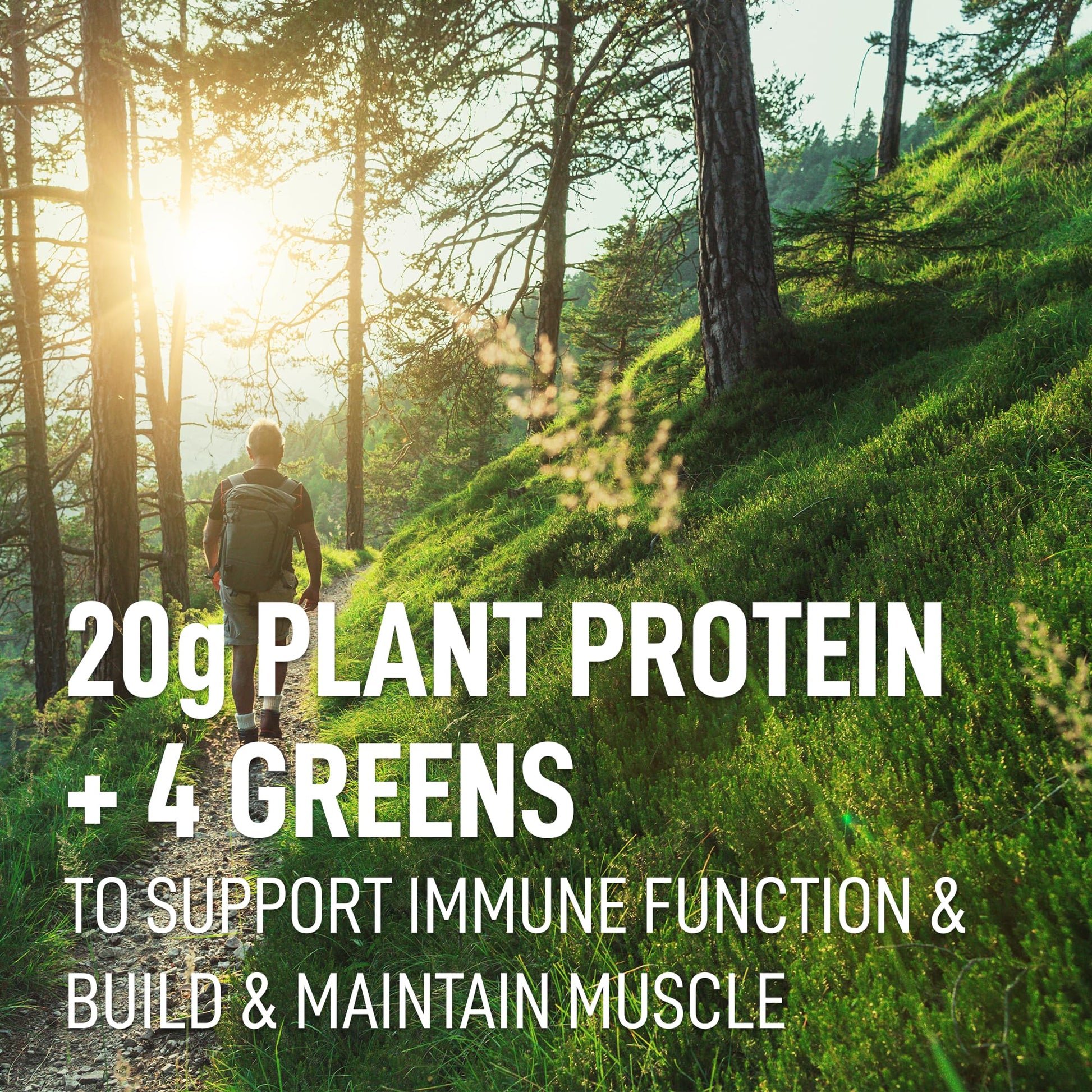LEANFIT PLANT-BASED PROTEIN & GREENS Natural Vanilla – 20g Plant Protein + 4 Leafy Greens Per Serving – Vegan, Gluten-Free, Soy-Free, No Sugar - 20 Servings, 517g Tub