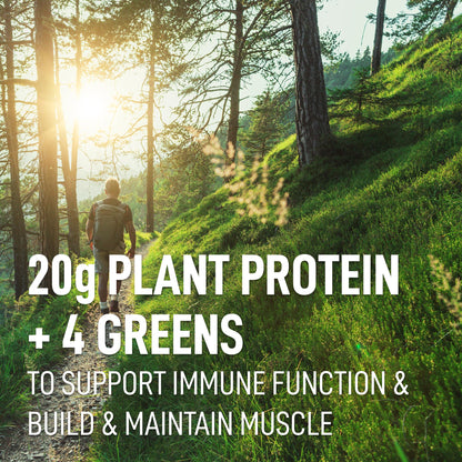 LEANFIT PLANT-BASED PROTEIN & GREENS Natural Vanilla – 20g Plant Protein + 4 Leafy Greens Per Serving – Vegan, Gluten-Free, Soy-Free, No Sugar - 20 Servings, 517g Tub