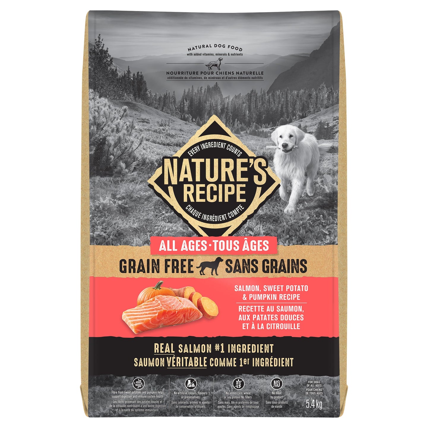 Nature's Recipe Grain Free Natural Dog Food Salmon, Sweet Potato & Pumpkin Recipe 5.4 kg (Pack of 1) 🍁 All In One Marketplace Canada
